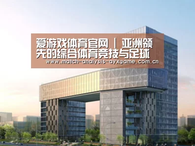 案例展示四(图1) 案例展示四(图1)